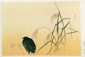 Merle, période Edo - Japanese School